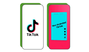 TikTok introduces Pulse program