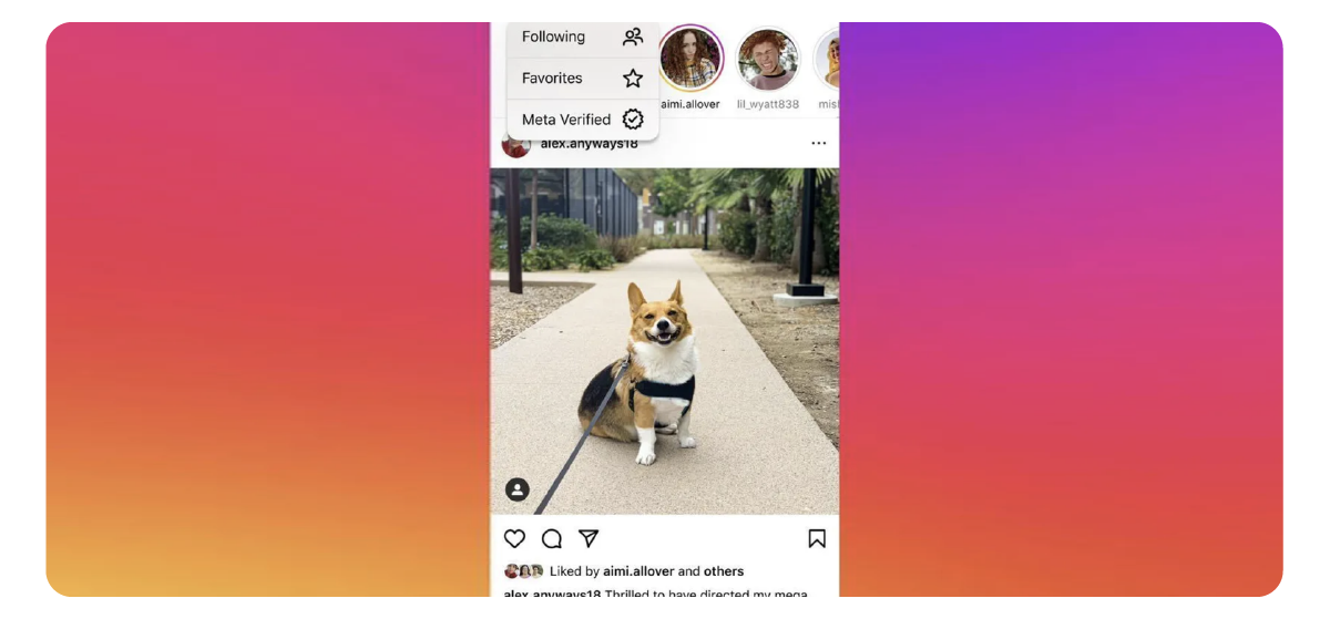 Instagram tests "Meta Verified" only feed
